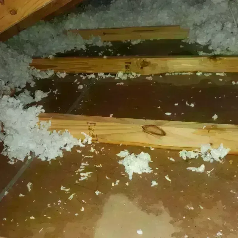 Attic Water Damage in Au Sable, MI