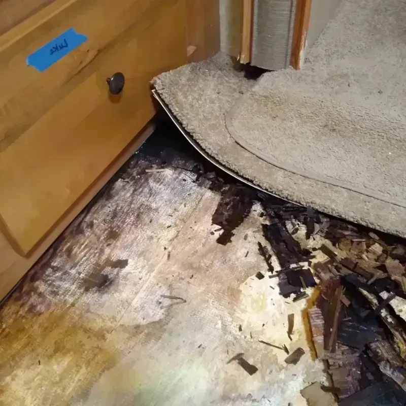 Best Wood Floor Water Damage Service in Au Sable, MI